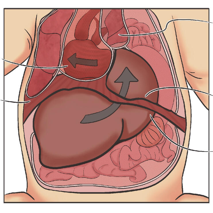 Medical